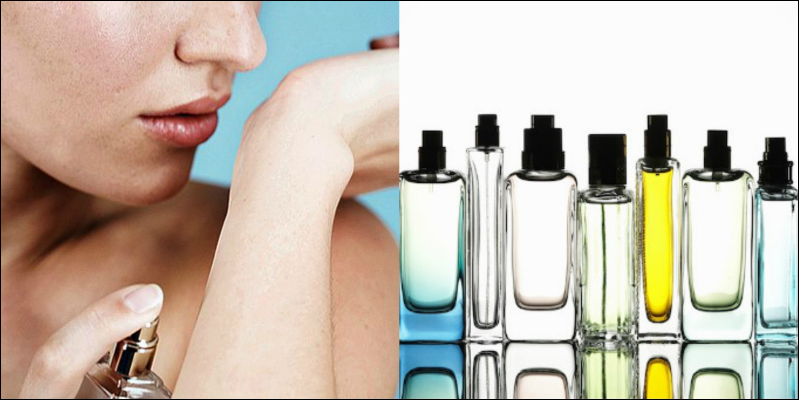 Parfümlerdeki EDP EDT EDC Yazıları Nedir